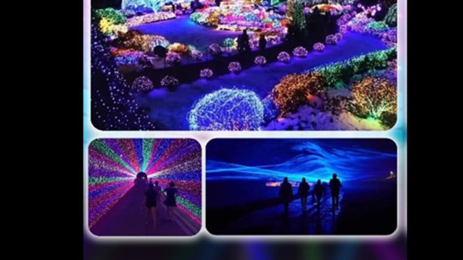 Pesona cahaya memukau di Lights Wonderland Semarang