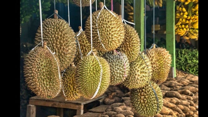 Ilustrasi Artis Malaysia Kena Stroke Makan 7 Durian