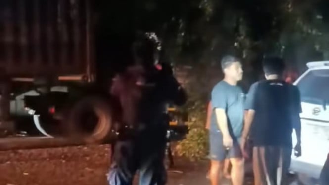 Pohon Tumbang di Jalan Pantura Batang