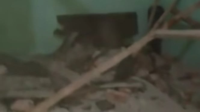 Gempa Magnitudo 4,9 Guncang Bekasi