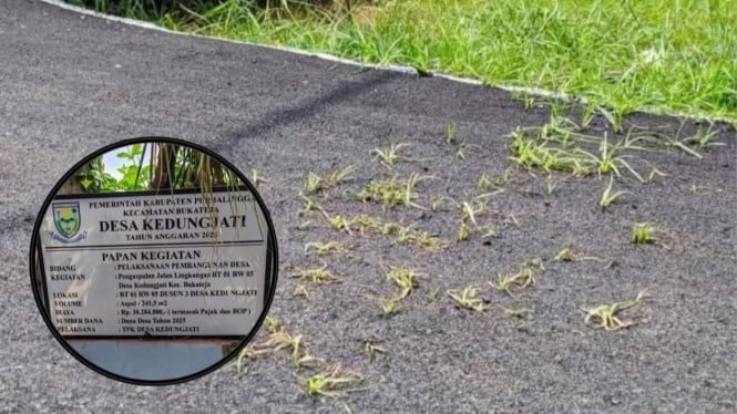 Aspal Baru di Desa Kedungjati Purbalingga Ditumbuhi Rumput Liar