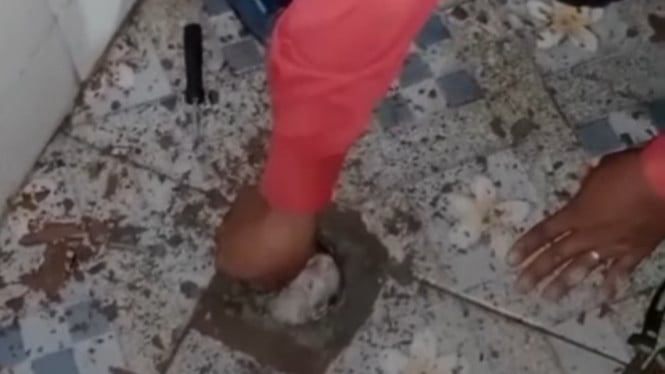 Kucing terjebak di kamar mandi