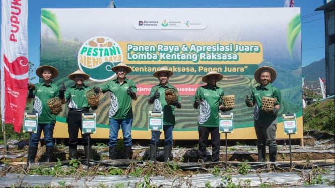 Lomba Kentang Raksasa di Dieng.