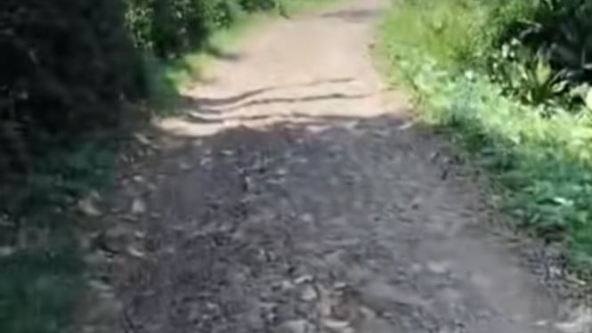 Warga Desa Weringinagung Pekalongan Keluhkan Kerusakan Jalan