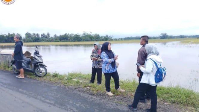 Lahan Sawah 10 terendam Banjir di Desa Gambarsari Kemangkon