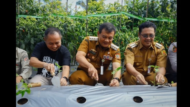 Petani Jateng panen cabai dengan dukungan kredit