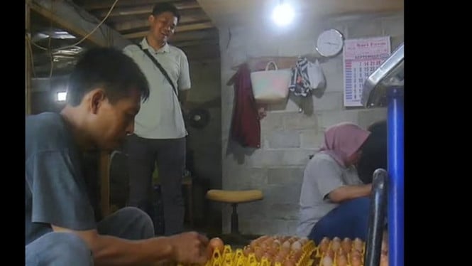 Harga Telur Temanggung Naik, Meski Produksi Surplus