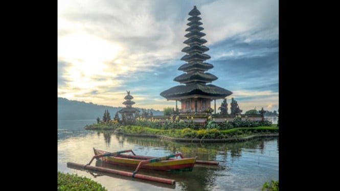 Liburan di Bali kena Gigit Monyet Dapat Tagihan 69 Juta