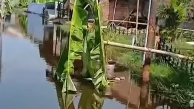 Desa Karangjompo Kecamatan Tirto, Pekalongan banjir