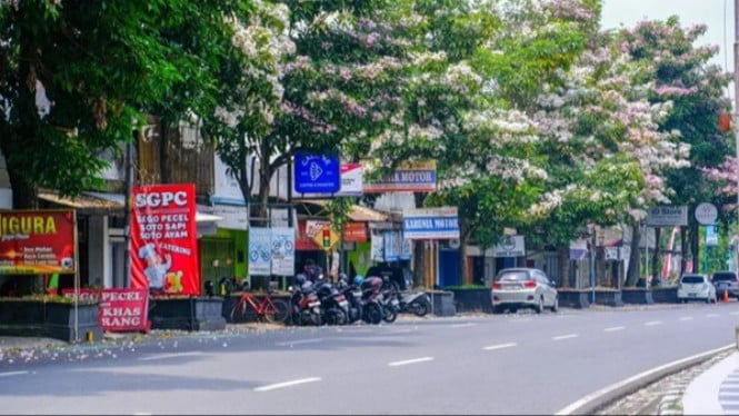 Reklame di Magelang kini diatur lebih ketat
