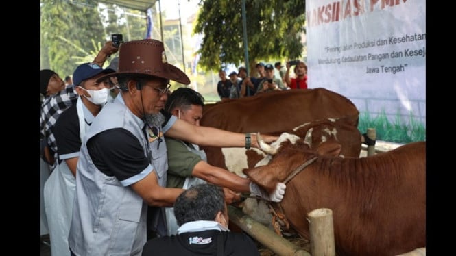 Ajang kontes ternak ramaikan Bulan Bakti Jateng