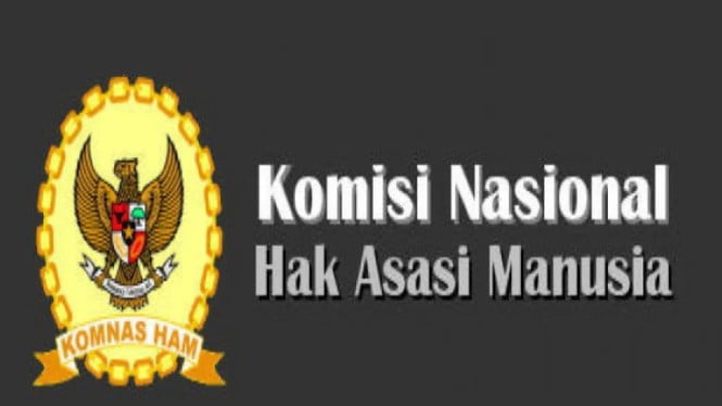 Komisi Nasional Hak Asasi Manusia (Komnas HAM)