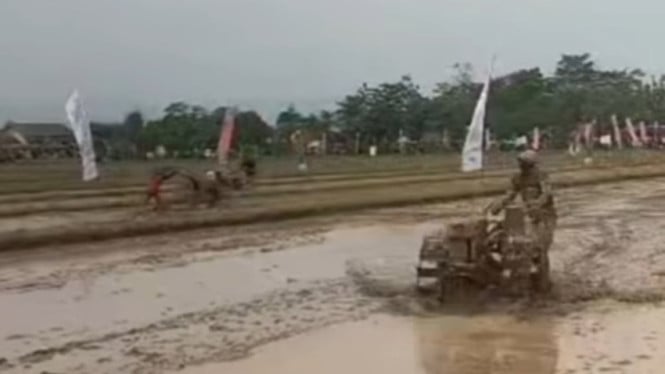 Pacuan Traktor Meriahkan HUT TNI ke-80 di Kemangkon Purbalingga
