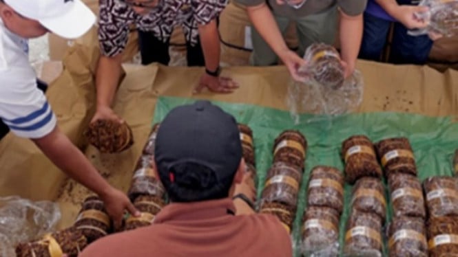 Bupati Agus Gondrong kirim surat ke Menkeu