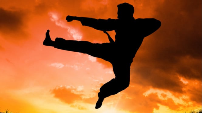 Iluastasi Pencak Silat