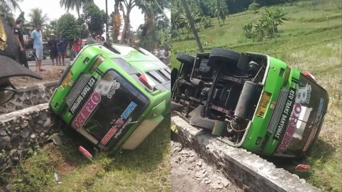 Minibus Mikro Terguling ke Sawah di Jl. Raya Kedaung Banjarnegara.