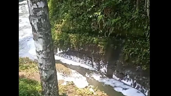 Ikan mati massal di Sungai Soso, Purbalingga