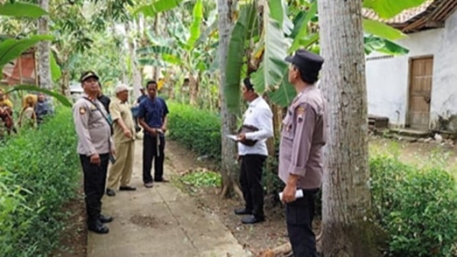 Lokasi pria jatuh dari pohon mahoni di Kebumen