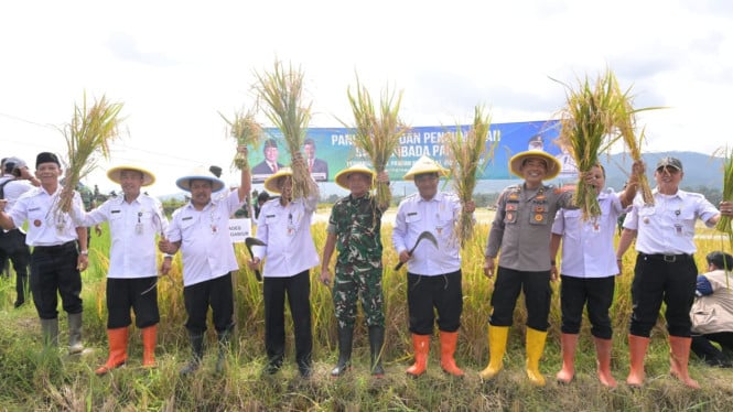Banjarnegara Surplus 45 Ribu Ton Beras
