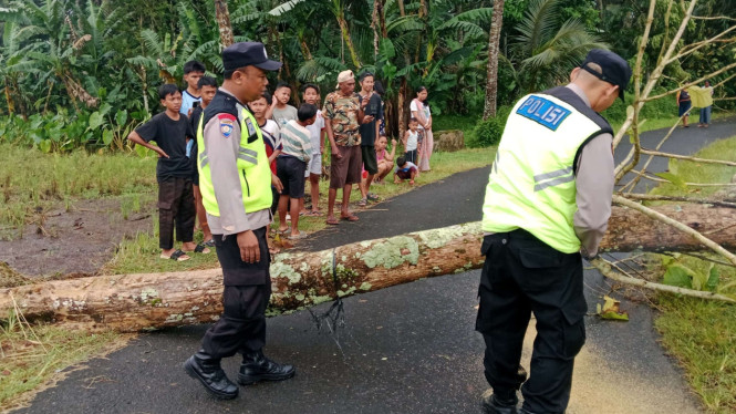 Anggota polsek Kaligondang evakuasi pohon tumbang