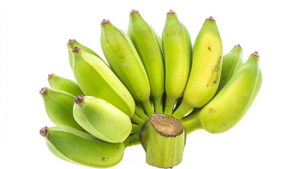 Foto Pisang Kepok Gak Cuma Digoreng! Ini 5 Olahan Simpel yang Bikin ...