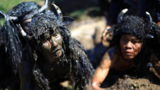 Tradisi Unik Kebo - Keboan Yang Berasal Dari Banyuwangi