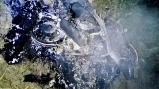 Kepergok Warga, Pencuri Sapi di Lumajang Tewas Dikroyok Masa Sepeda Motor di Bakar