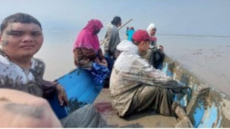Usai Otopsi Ikan Paus, Mahasiswa dan Dosen Universitas Airlangga Terdampar di Laut