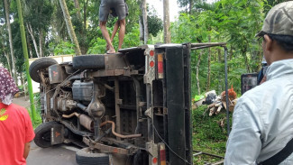 Rem Blong, 1 Penumpang Pick Up Terguling Alami Gegar Otak 18 Luka Ringan
