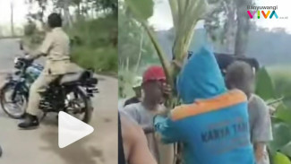 Video Viral : Pemuda Ini tak Kenal Bupati Banyuwangi saat Aksi Tanami Pisang di Jalan Rusak