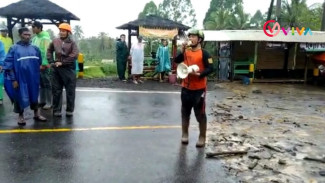 Jembatan Amblas Diterjang Banjir Bandang, Akses Malang-Lumajang Jalur ini Lumpuh