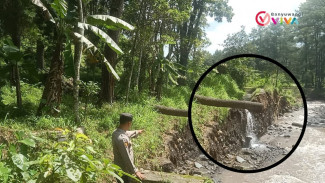 Saluran Air Ambrol, Ratusan Hektar Sawah di Banyuwangi Petani Terancam Gagal Tanam