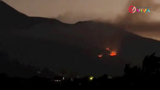 Terjadi Insiden Kebakaran Lereng Gunung Petak 80 Pasewaran Wongsorejo 