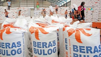 2,2 Juta Ton Beras Akan Dicadangkan Bulog Antisipasi Iklim El Nino