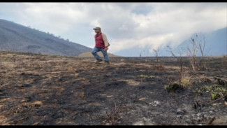 5 Hari Terbakar. 504 Hektar Gunung Bromo jadi Arang