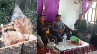 Takut Pohon Bendo Roboh, Warga Mengadu ke Perhutani