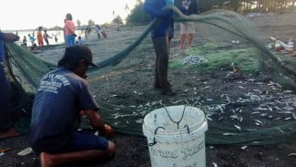 Heboh Ribuan Ikan Menepi di Pantai Gumuk Kantong, Ini Penjelasan Dinas Perikanan Banyuwangi