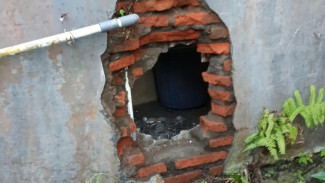 Bobol Tembok Alfamart, Lalu Kuras Isi Brangkas Berisi Uang Puluhan Juta