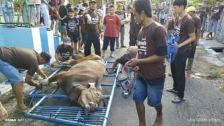 Jamin Konsumsi Daging Halal, Geber Sertifikasi Juleha