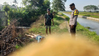 Perempuan di Jember Ditemukan Tewas Dengan Luka Gorok di Leher