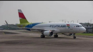 Pesawat Pelita Air di Bandara Juanda Gagal Terbang, Ada Apa