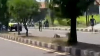 Insiden TNI Versus Knalpot Brong Kembali Terjadi