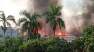 Kebakaran Besar Pabrik Kayu di Lumajang, ini Penyebabnya