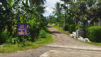 Batal Tarik Paving, Caleg Nasdem di Banyuwangi Minta Maaf