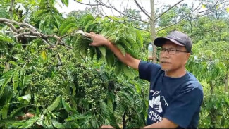 Asosiasi Pangan: Kami Ditelanjangi Terkait Kopi Milo Pace