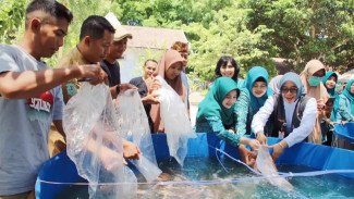 Program Gemarikan Dinas Perikanan dan Kelautan Cegah Stunting