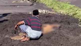 Lengkap! Seluruh Dampak Banjir Lahar Dingin Lumajang, Cek Faktanya