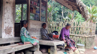 Cerpen Bahasa Using Banyuwangi, Judul: Tangga
