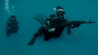 DENJAKA: Hantu Laut Penumpas Teror, Pasukan Khusus TNI AL yang Misterius dan Mematikan