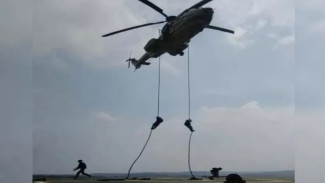 Elang-Elang Pemburu dari Angkasa: Pasukan Khusus TNI AU, Penjaga Langit Nusantara